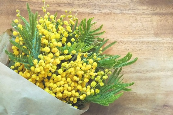 ウイルスにも花粉にも！？免疫力を高めよう！