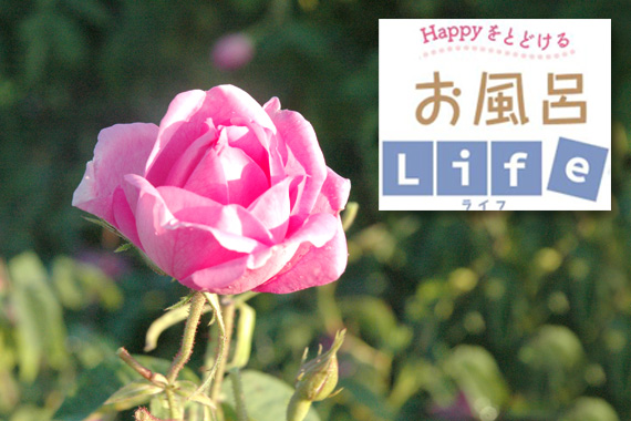 お風呂と一緒にリラックス♪夏におすすめの香り
