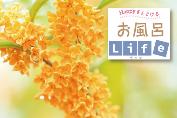 好きな「香り」はなんですか?秋におすすめの香り