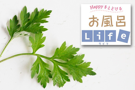 3月の季節湯「よもぎ湯」