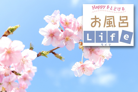 ４月の季節湯「桜湯」
