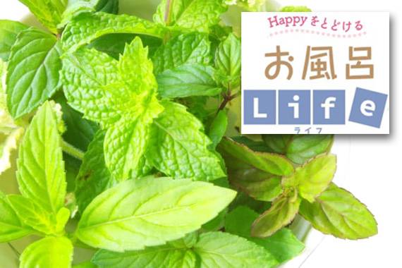 薄荷(はっか)湯に入れる薄荷の写真