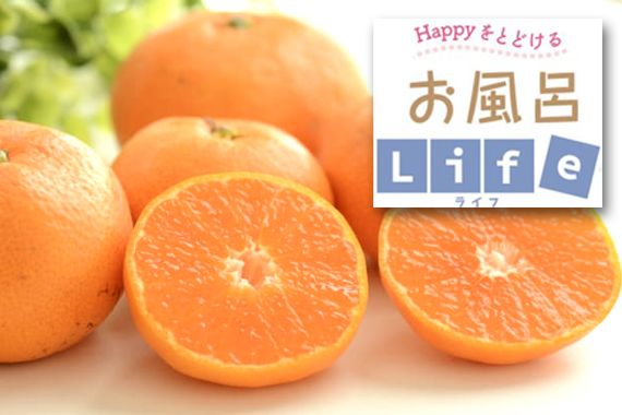 11月の季節湯「みかん湯」