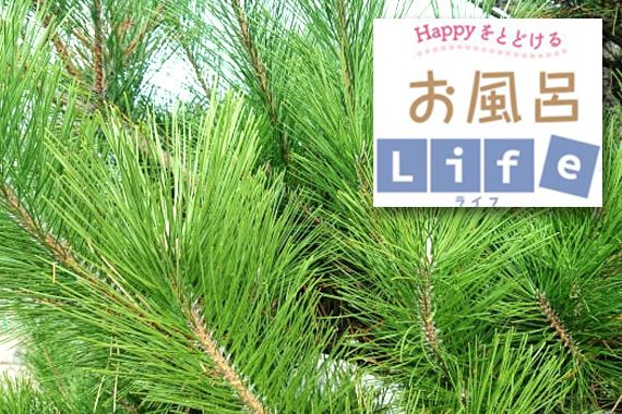 1月の季節湯「松湯」
