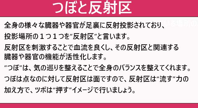 反射区とつぼの違い