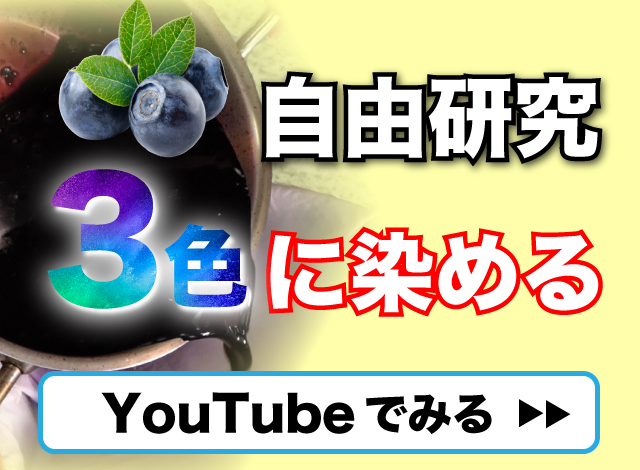 ブルーベリーで草木染め Eye Salon アイサロン わかさ生活知恵袋 わかさ生活