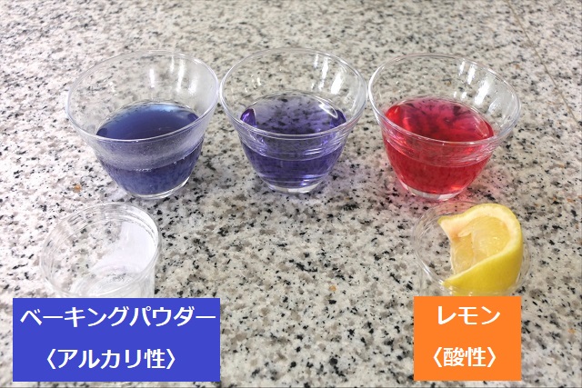 アントシアニンの不思議 紫キャベツの塩レモン焼きそば 解説編 Eye Salon アイサロン わかさ生活知恵袋 わかさ生活