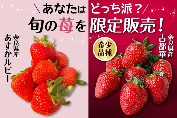 期間限定販売～絶品！いちごのご紹介！