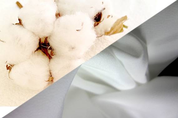綿とポリエステルのイメージ画像