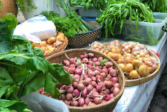 早くも食欲の秋？！ファーマーズマーケットの魅力