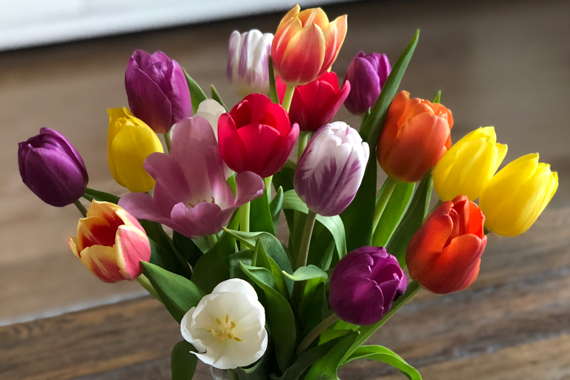 スウェーデンの「名前の日」