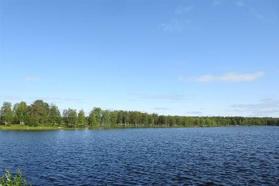 森と湖の写真
