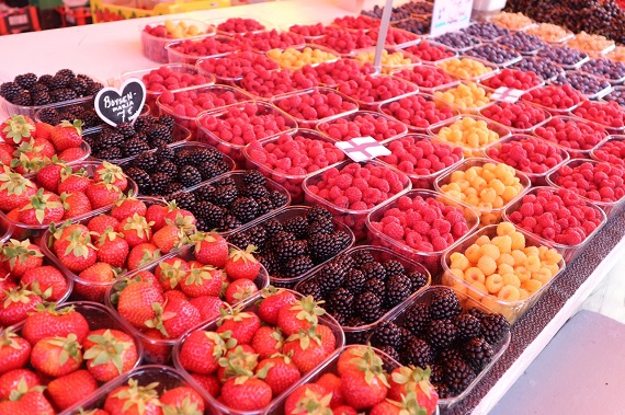 【北欧研修2019③】フィンランドのマーケット市場