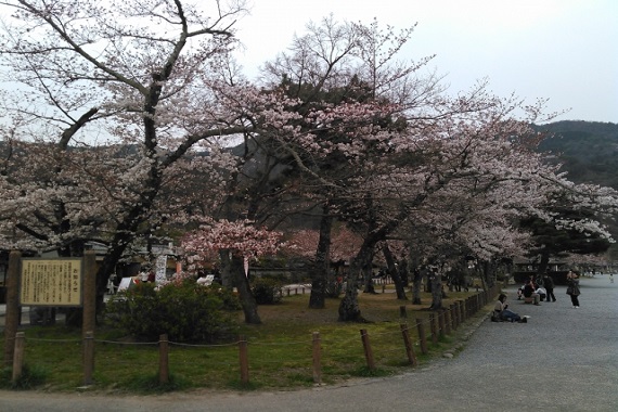 嵐山東公園写真