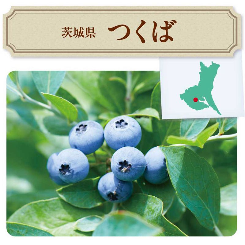 サングラス画像