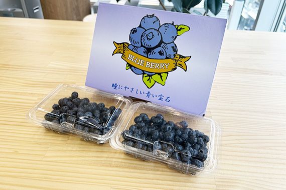 毎年恒例！みずみずしいブルーベリーをお届け！