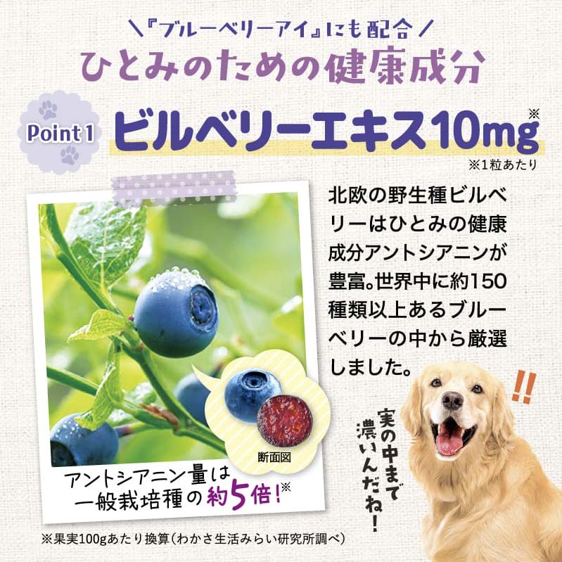 ビルベリーエキス10mg