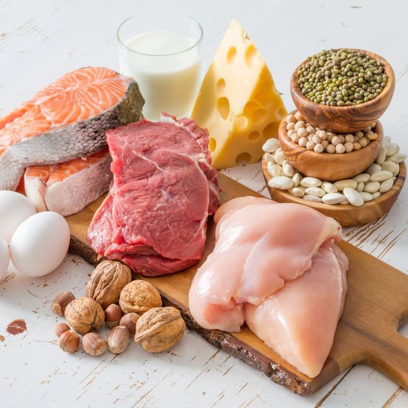 肉魚卵乳製品などたんぱく質豊富な食材