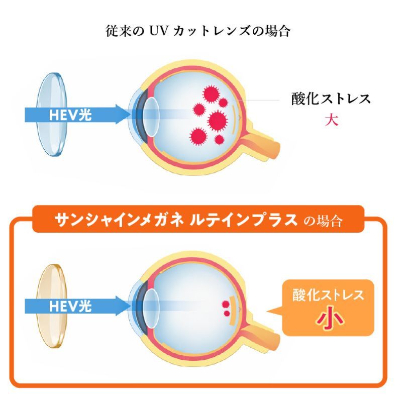 ルテイン配合レンズと従来レンズの比較イラスト