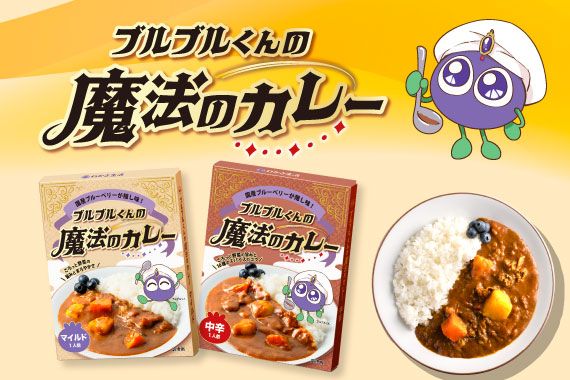 心のこもった本気のカレーがわかさ生活から登場