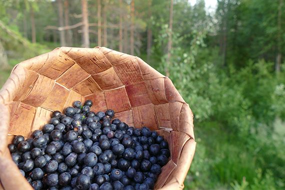 [わくわく]新しいイベント企画！？ 北欧展を開催！ 