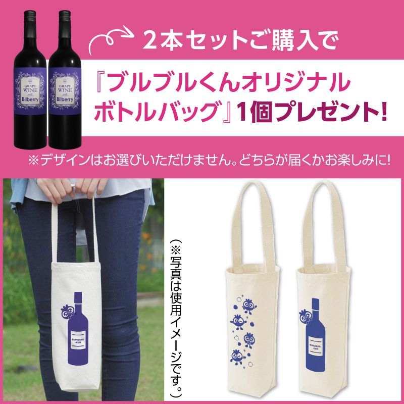 ボトルバッグプレゼント