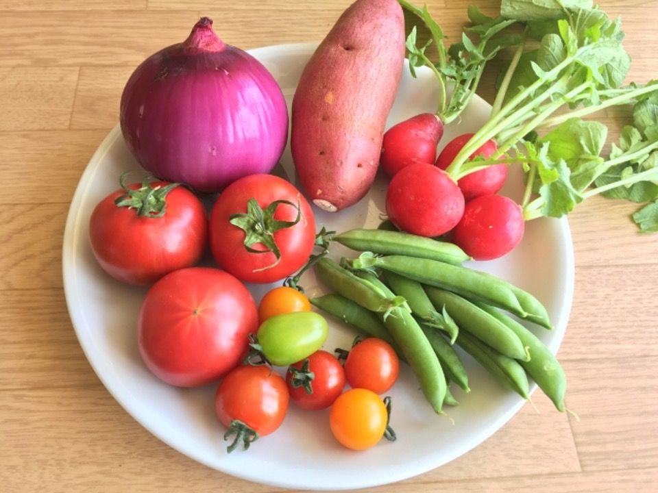 野菜の画像