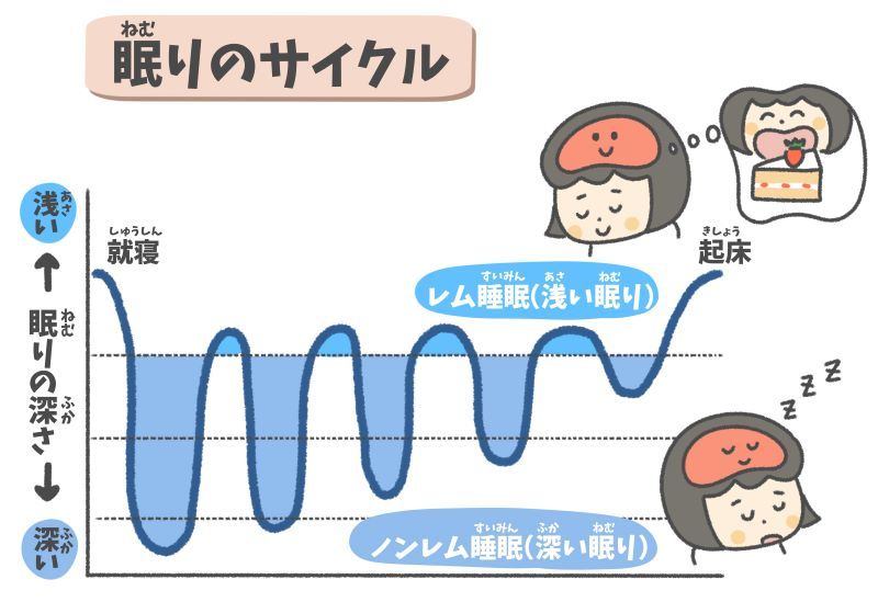 ノンレムとレム睡眠サイクルグラフ