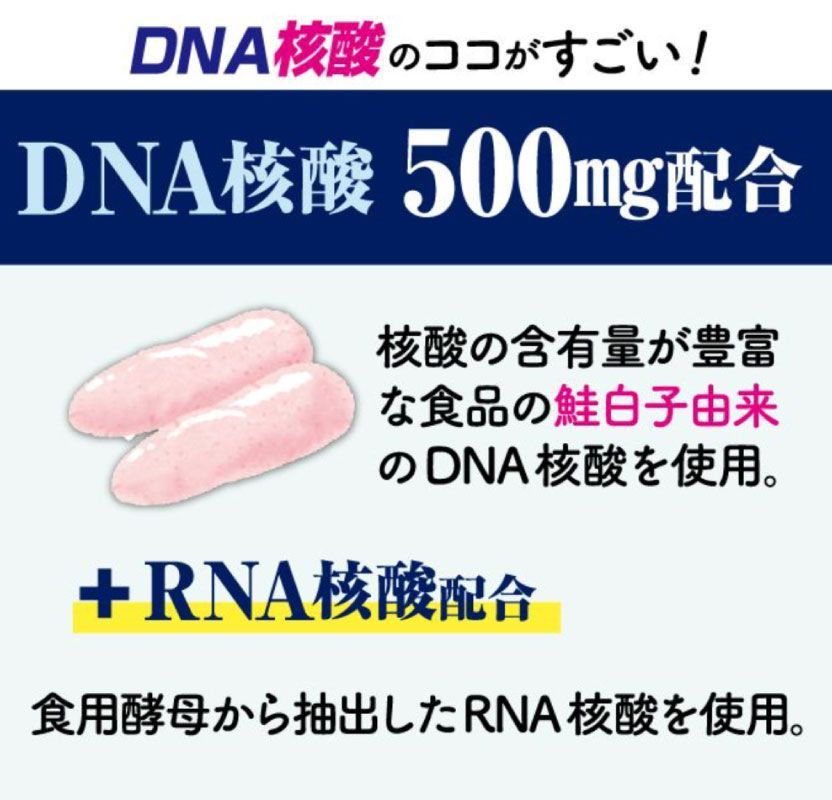 鮭の白子由来の核酸使用