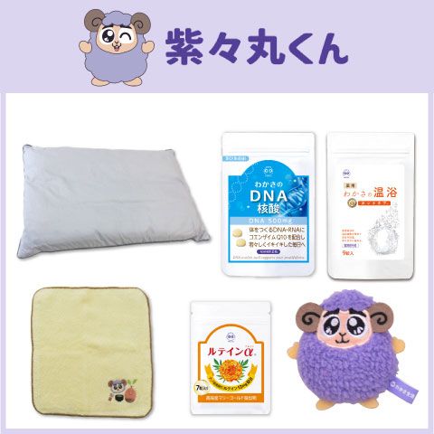 紫々丸セット内容画像