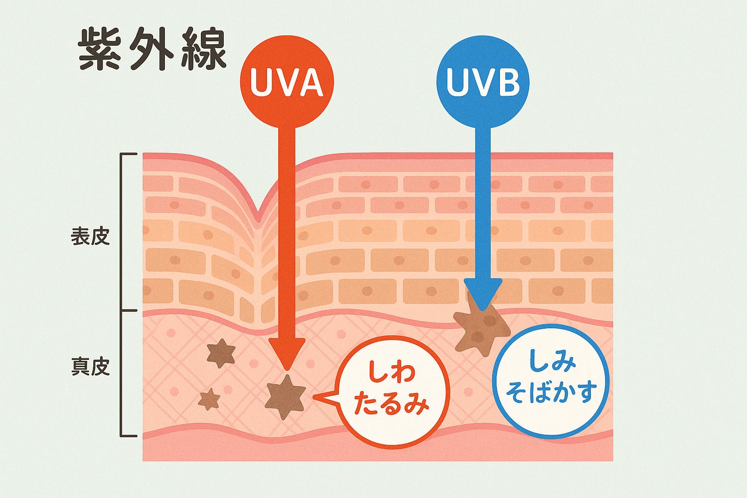 UVAとUVB
