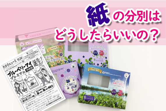 紙の分別はどうしたらいいの?