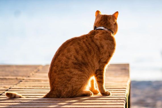 守りたい なんて無防備 わたしの目