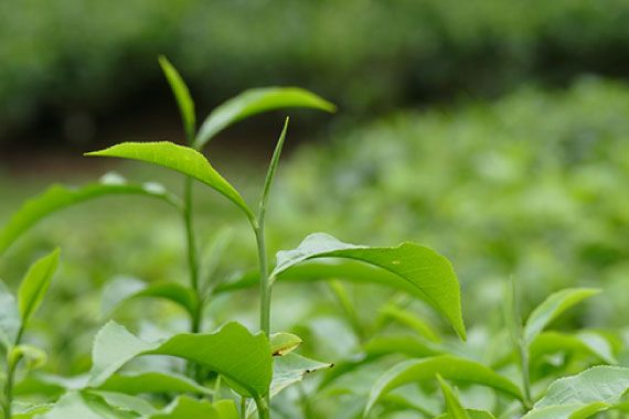 リフレッシュした翌日に疲労感