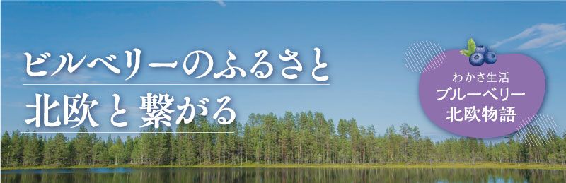 ブルーベリー北欧物語_日本・フィンランド友好プロジェクトTOP画像