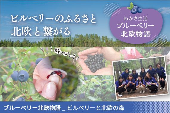 ブルーベリー北欧物語_ビルベリーと北欧の森