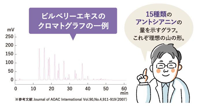 ビルベリーの中まで濃い色