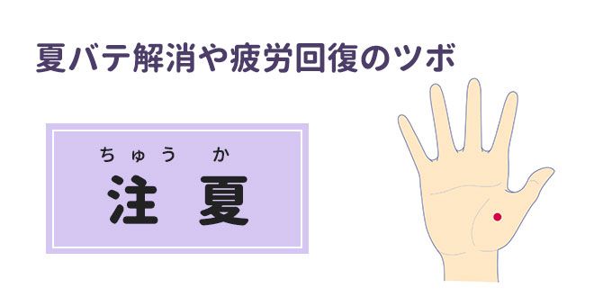 夏バテ解消や疲労回復のツボ