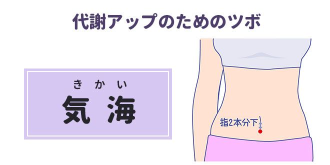 代謝アップ・脂肪燃焼に効果的なツボ