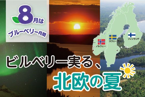 【ブルーベリー月間特集】ビルベリー実る北欧の夏