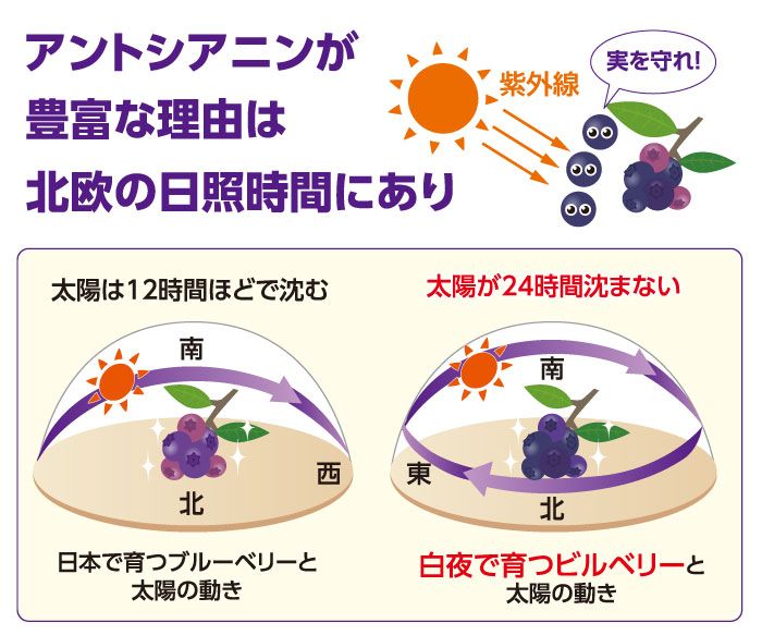 スマホやパソコンを使う時