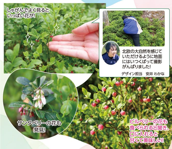  スタッフインタビュー「熱血わかさびと」Vol.02