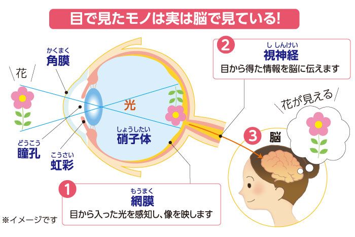 スマホやパソコンを使う時