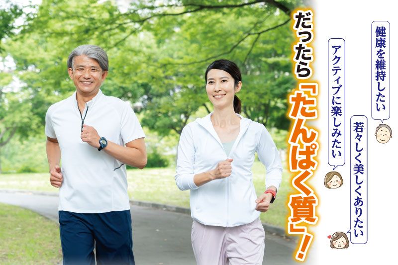 だったらたんぱく質!