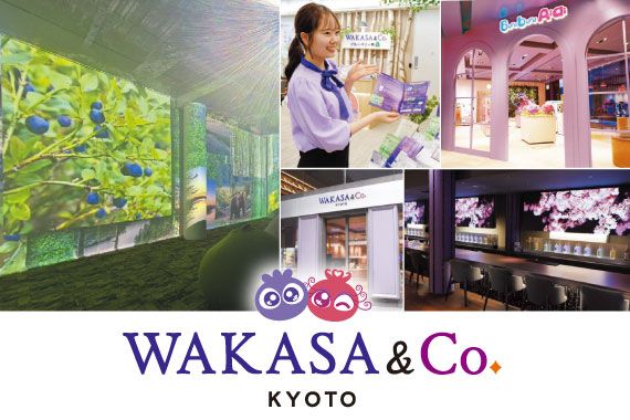 「WAKASA&Co」誕生で もっと身近でリアルな存在に