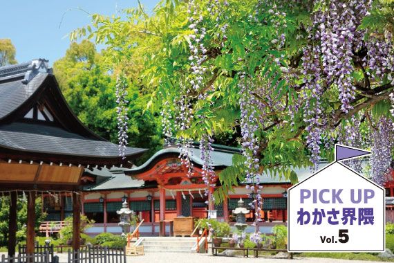 PICK UPわかさ界隈vol.5_神社仏閣巡りで健康祈願「西院 春日神社」