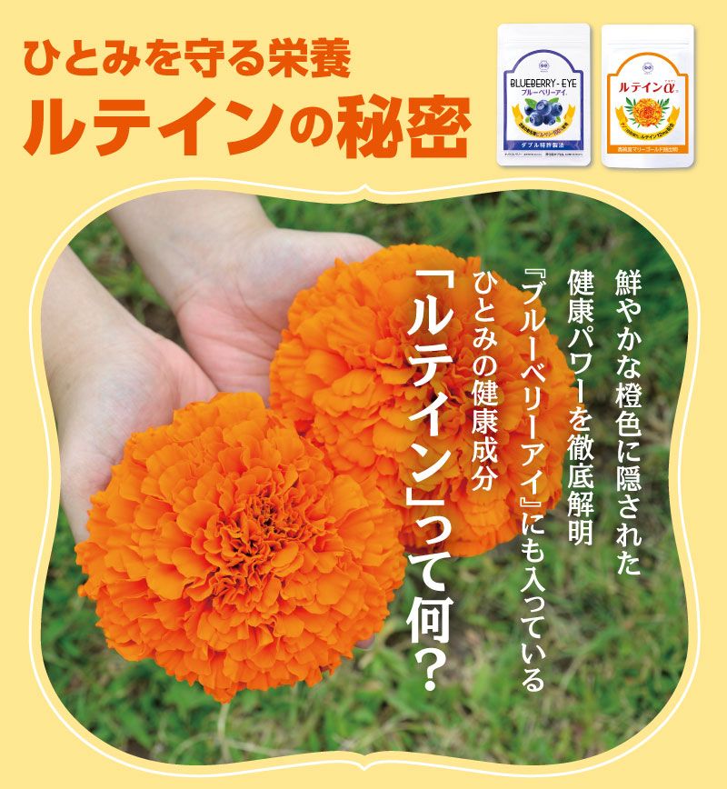 創業26周年特別企画「角谷社長のチャレンジ」