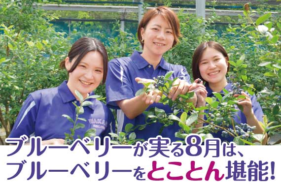 ブルーベリーが実る 8月は、 ブルーベリーをとことん堪能!