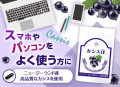 カシスα