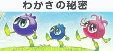 わかさの秘密